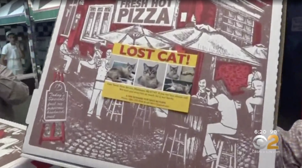 Μια υπέροχη ιδέα: Πιτσαρία βάζει φωτογραφίες ζώων που χάθηκαν στις πίτσες που στέλνει στα σπίτια μήπως τα έχει δει κάποιος και βρεθούν