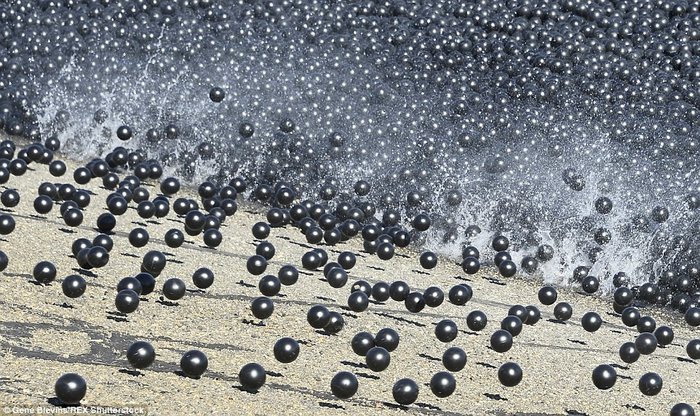 ΒΙΝΤΕΟ - ΦΩΤΟ Λος Άντζελες: Με 96.000.000 σφαίρες σώζουν το νερό!