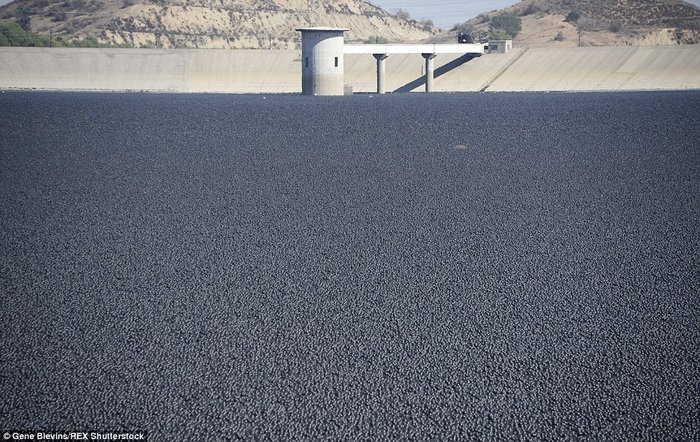 ΒΙΝΤΕΟ - ΦΩΤΟ Λος Άντζελες: Με 96.000.000 σφαίρες σώζουν το νερό!