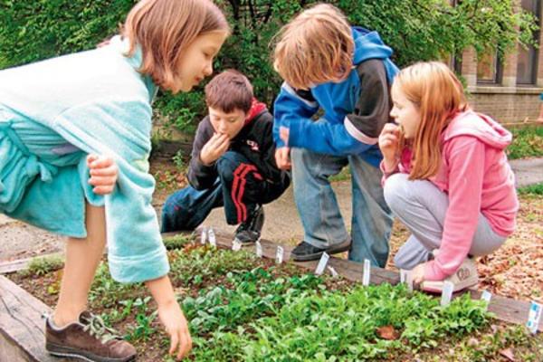 Δωρεάν σεμινάριο δημιουργίας σχολικού λαχανόκηπου στο Κέντρο της Γης
