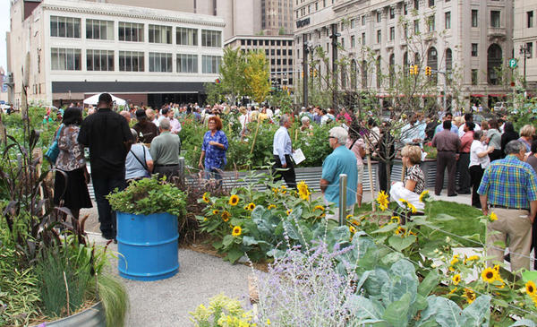 Lafayette Greens: ένας αστικός λαχανόκηπος πρότυπο (Βίντεο)