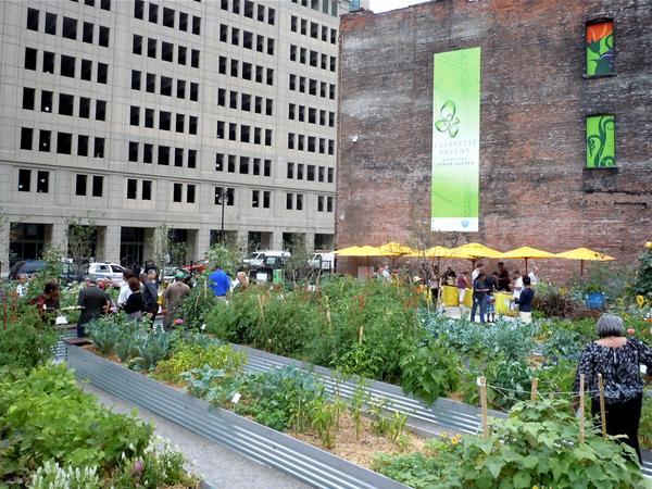 Lafayette Greens: ένας αστικός λαχανόκηπος πρότυπο (Βίντεο)