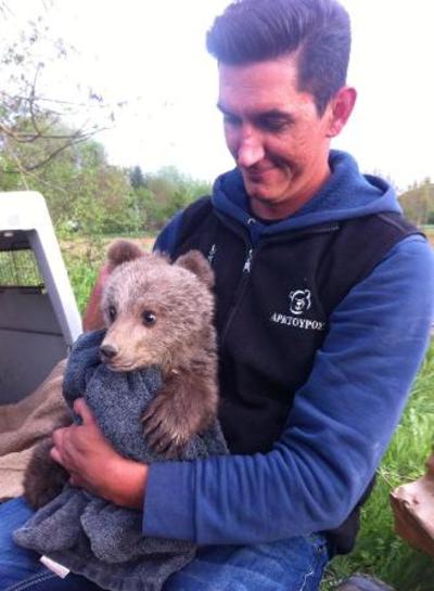 Ένα ορφανό μωρό αρκουδάκι στην αγκαλιά του Αρκτούρου