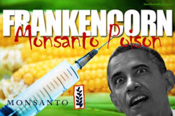 Γαλλία: Απαγορεύεται με νόμο ο σπόρος της Monsanto