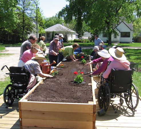 «Θεραπευτικοί Κήποι»: η ευεργετική επαφή ασθενών & ευάλωτων ομάδων με τη φύση