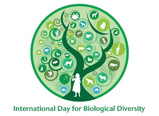Παγκόσμια Ημέρα Βιοποικιλότητας σήμερα