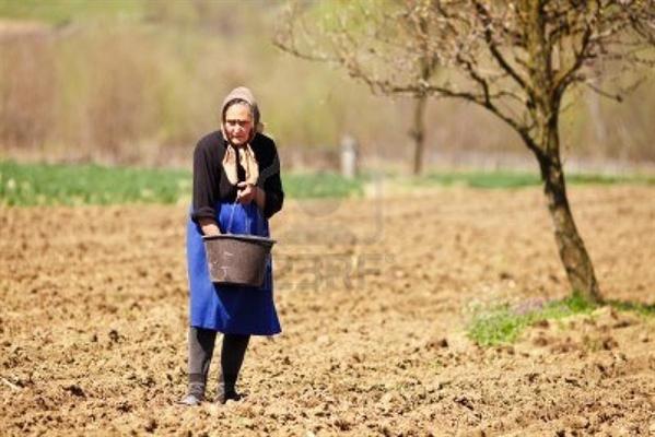 Ειρηνοδικείο Ιεράπετρας: αγρότισσα "καθάρισε" με την τράπεζα με 50 ευρώ το μήνα