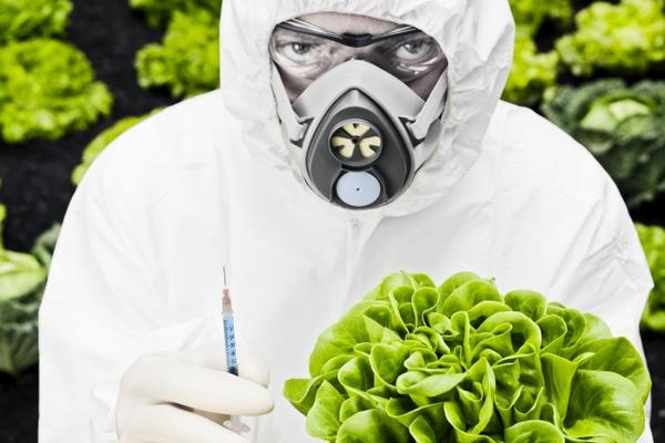 Δείτε ποιες μικρές εταιρείες παραδοσιακών σπόρων εξαγόρασε η Monsanto!