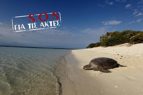 Τι μπορούμε να κάνουμε ΕΜΕΙΣ για την προστασία της θαλάσσιας χελώνας;