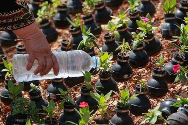 Οι συγκλονιστικές φωτογραφίες της ημέρας: Παλαιστίνια μετέτρεψε τα δακρυγόνα σε λουλούδια!