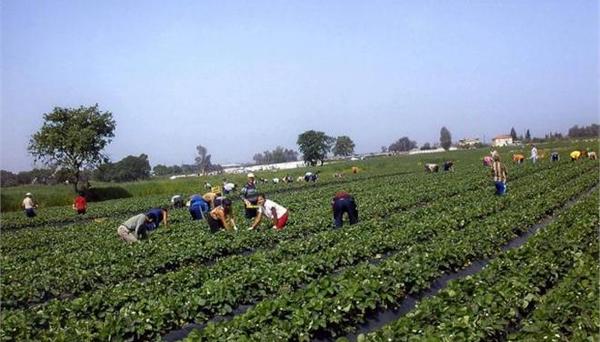 Έξω η Μανωλάδα από την Ελλάδα. Του Κώστα Λάμπου
