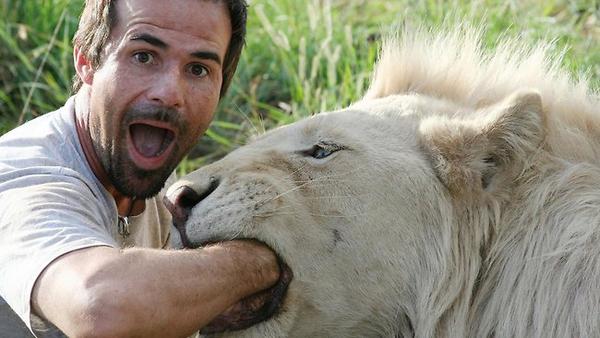 Συγκλονιστικό βίντεο: ο γητευτής των λιονταριών!