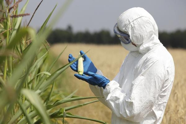 Πώς η Monsanto συμβάλλει στην εξόντωσή μας [βίντεο]