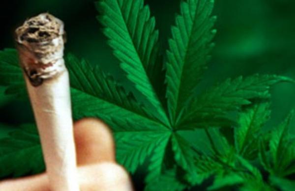 Δημοψήφισμα για την νομιμοποίηση της μαριχουάνας και σε Όρεγκον, Αλάσκα, Ουάσιγκτον D.C