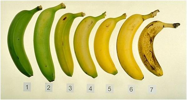 Άγουρη ή ώριμη μπανάνα; Τι είναι καλύτερο για τον οργανισμό;