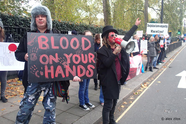 ΑΝΤΑΠΟΚΡΙΣΗ: Λονδίνο - Η διαδήλωση ενάντια στην ετήσια σφαγή των δελφινιών