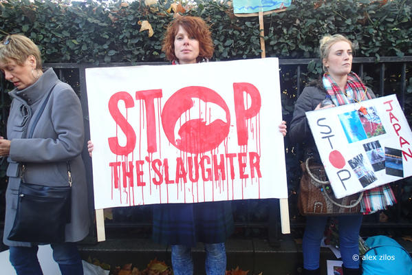 ΑΝΤΑΠΟΚΡΙΣΗ: Λονδίνο - Η διαδήλωση ενάντια στην ετήσια σφαγή των δελφινιών