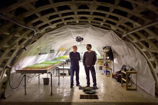 Μια υπόγεια φάρμα αναπτύσσεται 33 μέτρα κάτω από τους δρόμους του Λονδίνου! [βίντεο]