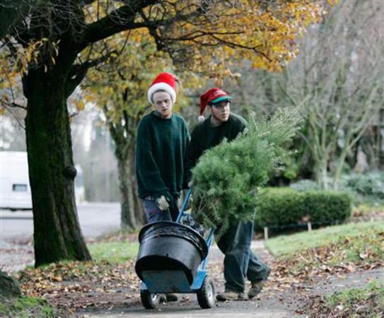 Ενοικιάζουν χριστουγεννιάτικα δέντρα και τα φυτεύουν ξανά μετά τις γιορτές [βίντεο]