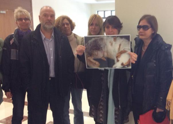 Κέρκυρα: Καταδίκασαν τον πρώην αστυνομικό που εκτέλεσε δύο σκύλους το 2009 Κέρκυρα: Καταδίκασαν τον πρώην αστυνομικό που εκτέλεσε δύο σκύλους το 2009