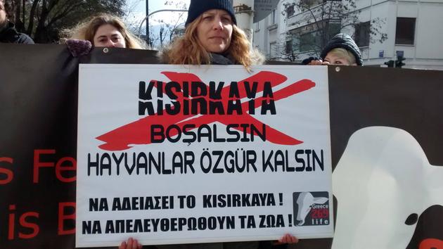 Δράση ενάντια στην πρόθεση της Τουρκίας να συγκεντρώσει 20,000 σκυλιά στο Κισιρκάγια