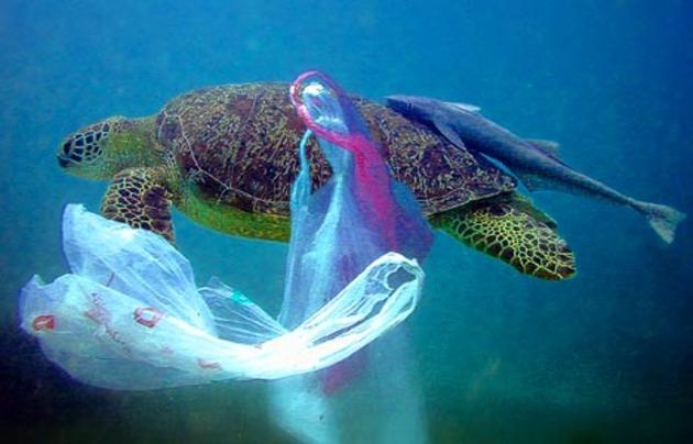 Επιτέλους - τέλος στις πλαστικές σακούλες από την Κομισιόν: τα κράτη μέλη της ΕΕ οφείλουν να μειώσουν κατά 80% τη χρήση πλαστικής σακούλας ως το 2025