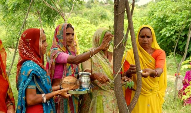 Σε αυτό το χωριό φυτεύουν 111 δέντρα κάθε φορά που γεννιέται ένα κορίτσι