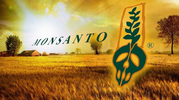 Η Monsanto έφαγε πρόστιμο για γενετική μόλυνση σιτηρών