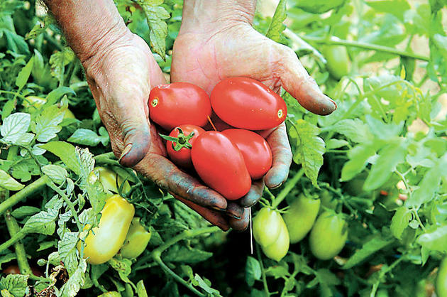 8 βιολογικά προϊόντα που υπόσχονται μεγάλα κέρδη