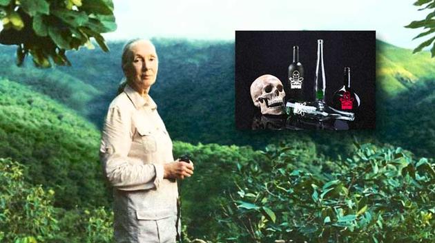 Jane Goodall: Δηλητηριάζουμε το σώμα μας με γενετικά τροποποιημένα
