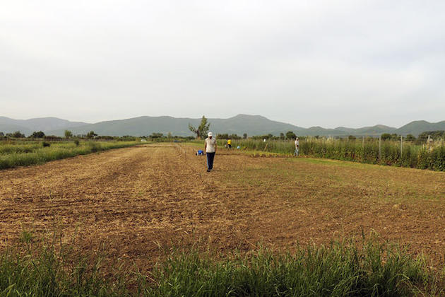 Ξεκινά η λειτουργία του δημοτικού λαχανόκηπου στο Αγρίνιο