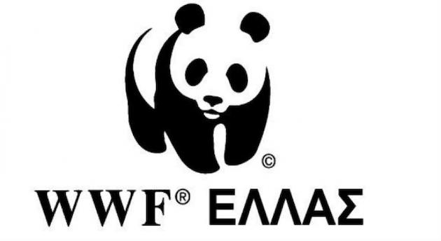 WWF: Προσοχή σε επικίνδυνη διαδικτυακή καμπάνια - απάτη