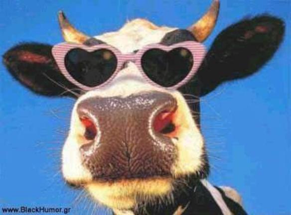 Βρετανοί επιστήμονες με κοπάδια "οικολογικών αγελάδων" μείωνουν την εκπομπή αερίων του θερμοκηπίου!