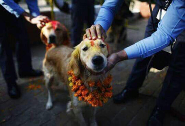 Στο Νεπάλ διοργανώνουν φεστιβάλ για να ευχαριστήσουν τα σκυλιά που είναι φίλοι των ανθρώπων! (βίντεο - φωτογραφίες)