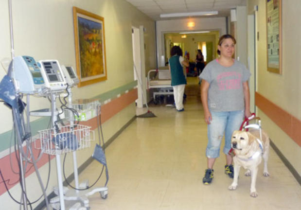 Η Μέη είναι ο πρώτος σκύλος - οδηγός τυφλών σε δημόσιο νοσοκομείο!