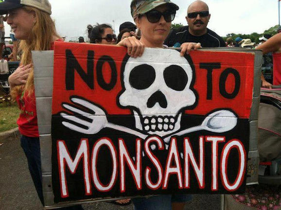 "Μπλόκο" στη Monsanto από Ελλάδα και Λετονία