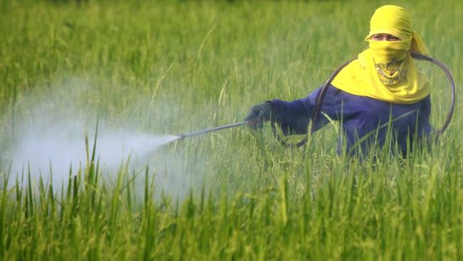 Καρκινογόνο το ζιζανιοκτόνο RoundUp της Monsanto