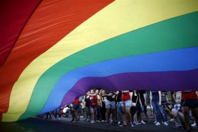 Η Ομοφυλοφιλική Λεσβιακή Κοινότητα Ελλάδας εναντίον Μεϊμαράκη