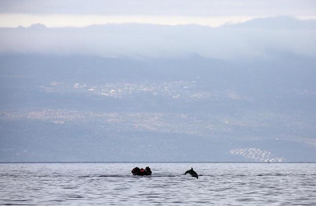 Ένα δελφίνι συνοδεύει - προστατεύει(;) μια βάρκα πρόσφυγων στη Λέσβο: Η ΦΩΤΟ της χρονιάς από τον Γιάννη Μπεχράκη