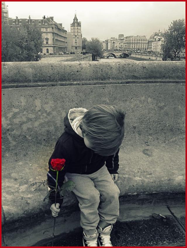Μα πώς είχε προαίσθημα ο γιος μου, ο Απόλλωνας και έριξε ένα κόκκινο τριαντάφυλλο στο Σηκουάνα; Του σεναριογράφου Δημήτρη Αποστόλου