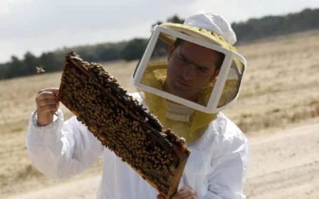 Κάρτα ρευστότητας σε 19.000 μελισσοκόμους μέσω Συνεταιρισμών και Συμβολαιακής Γεωργίας