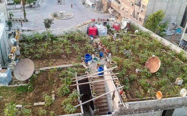15ος Κήπος: Η ομάδα που αγωνίζεται για την διατροφική επάρκεια των ανθρώπων στην εμπόλεμη Συρία