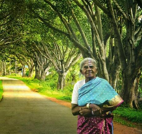Η Ινδή που δεν κατάφερε να κάνει παιδιά, φυτεύει με τα χέρια της ένα ολόκληρο δάσος