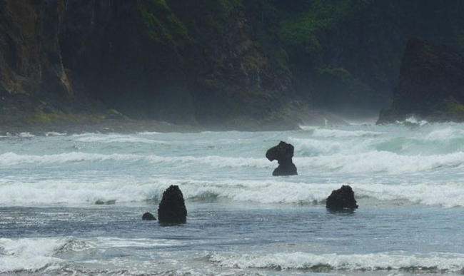 Ένα δάσος - φάντασμα αναδύεται μέσα από την θάλασσα