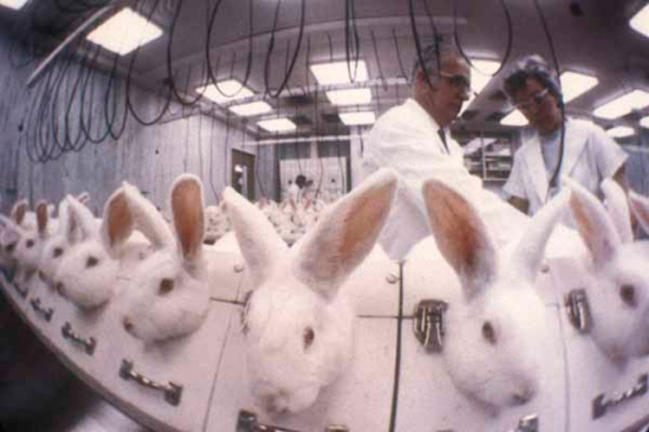 Λίστα με εταιρείες που δεν κάνουν πειράματα σε ζώα