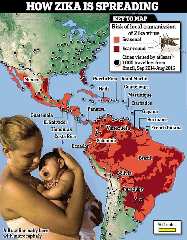 enallaktikos-gr-mikrokefalia-zika-monsanto