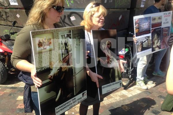 Διαμαρτυρία κατά της κακοποίησης των ζώων στο Μοναστηράκι BINTEO - ΦΩΤΟ