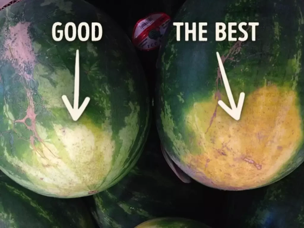 Αυτά είναι τα 5 μυστικά για να διαλέγετε πάντα το καλό καρπούζι