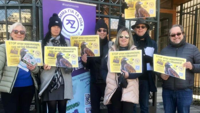 Κόμμα για τα Ζώα: Διαμαρτυρία για την κακοποίηση του αετού Οδυσσέα από την ΠΑΕ ΑΕΚ!