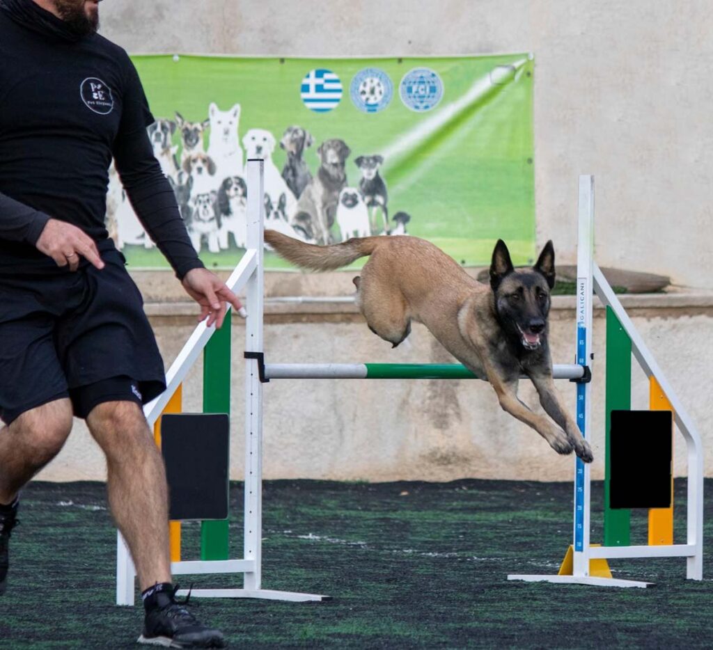 Στις 22 και 23 Απριλίου το συναρπαστικό άθλημα σκύλων dog agility στο Γουδή
